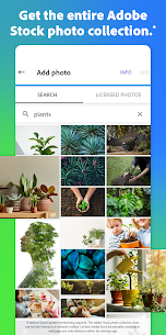 تحميل تطبيق Adobe Express pro مدفوع آخر إصدار للأندرويد 4