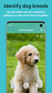 تحميل تطبيق Dog Scanner لمعرفة سلالة كلبك برو للأندرويد 2022 1
