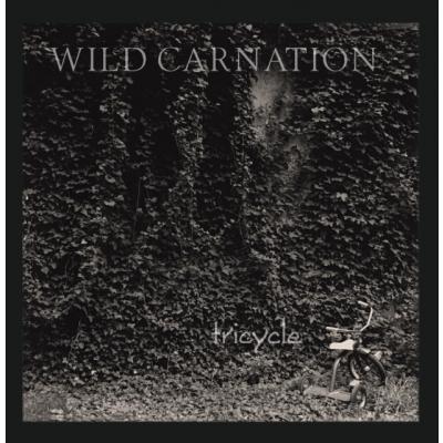 Wild Carnation / Tricycle 〔LP〕