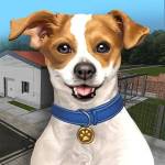 حصريا تحميل لعبة محاكي مأوى الحيوانات Animal Shelter APK كاملة للاندرويد برابط مباشر 2022