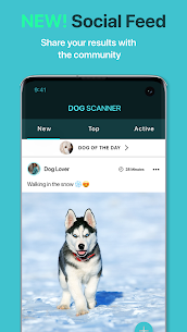 تحميل تطبيق Dog Scanner لمعرفة سلالة كلبك برو للأندرويد 2022 4