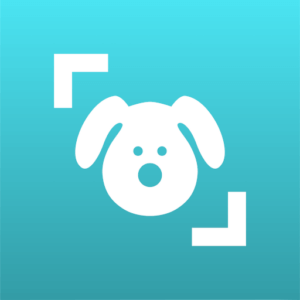 تحميل تطبيق Dog Scanner لمعرفة سلالة كلبك برو للأندرويد 2022