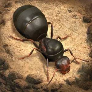 تحميل لعبة The Ants Underground Kingdom مهكرة للأندرويد